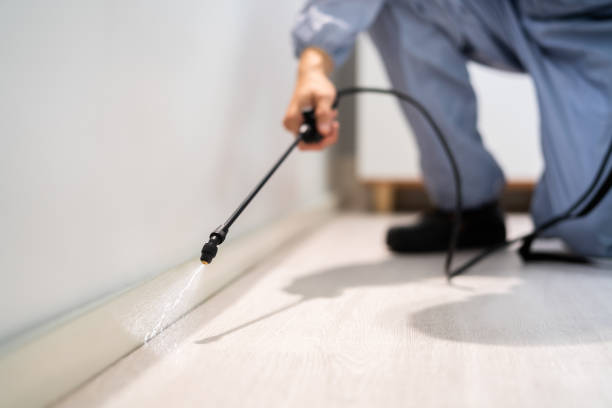 Professional exterminator conducting IPM assessment in Clio
